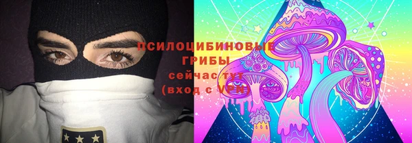 mdpv Арсеньев