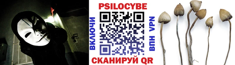как найти   Белоярский  Галлюциногенные грибы Psilocybe 